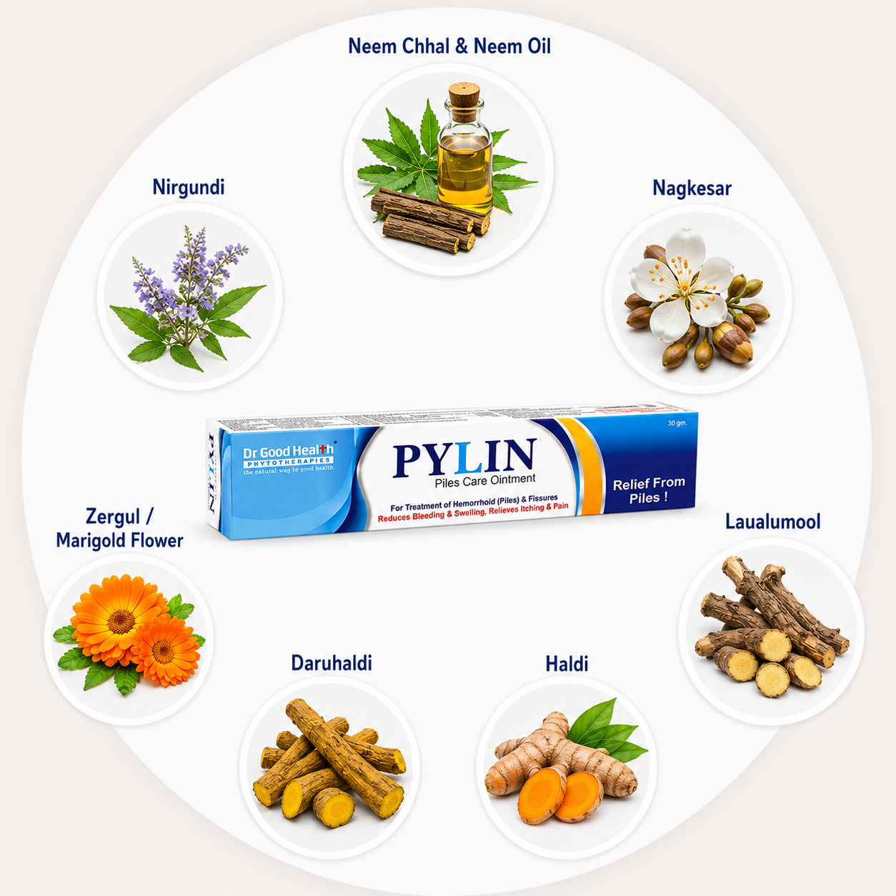 Key Ingredients