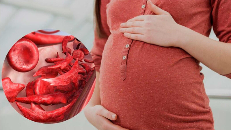 Supports Healthy Blood Formation
