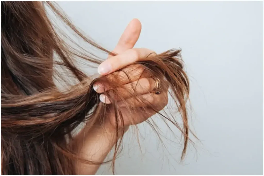 Nourishes Dry, Tired Hair