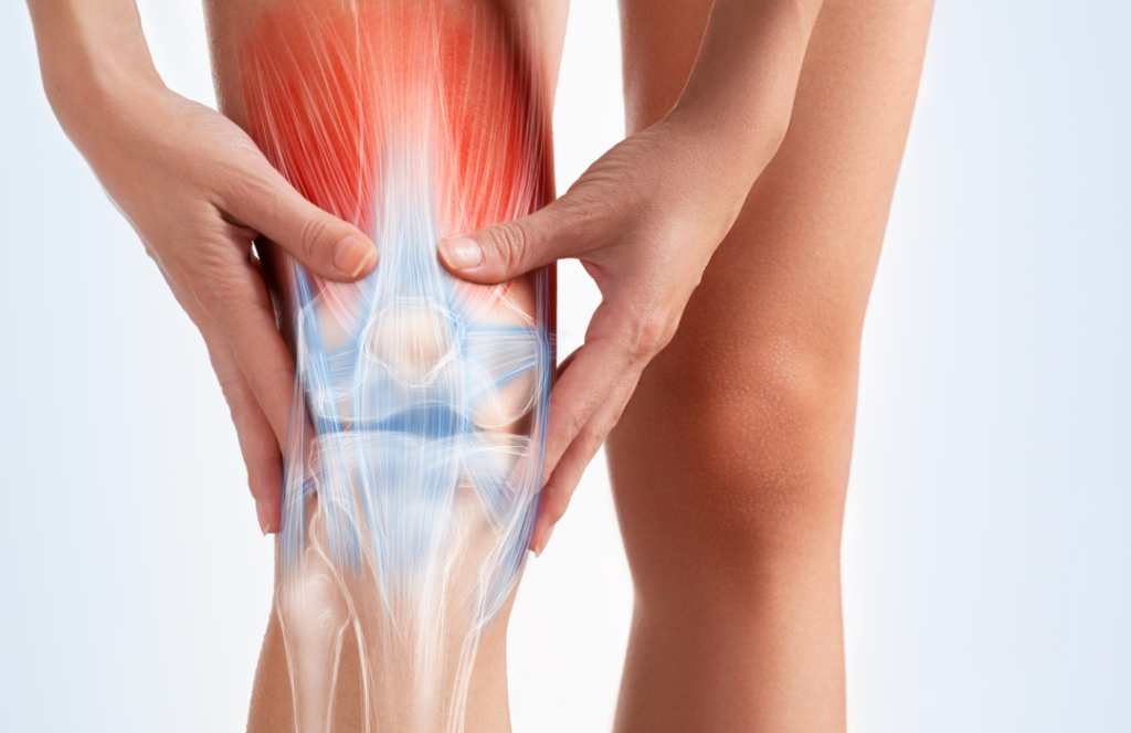 Helps Protect Joint & Cartilage Health