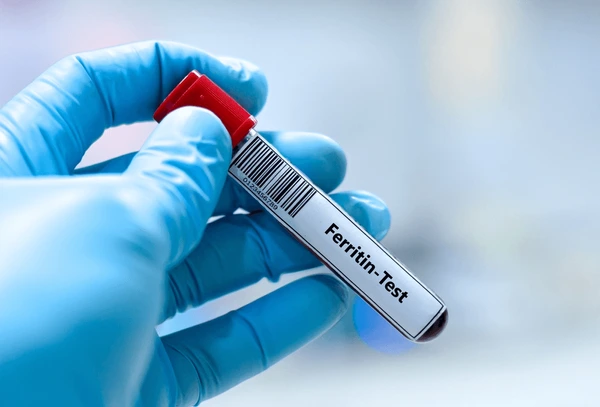 Iron & Blood Health